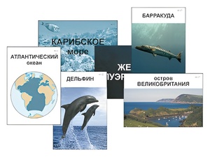 Модель-аппликация "Океаны. Знакомство" (ламинированная) - fgospostavki.ru - Ярославль
