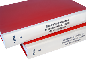 Практическое руководство по освоению системы Брайля для поздноослепших в 2-х книгах - fgospostavki.ru - Ярославль