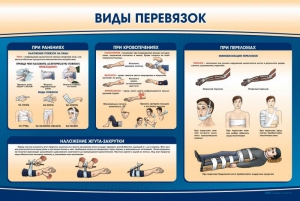 Стенд "Виды перевязок" - fgospostavki.ru - Ярославль