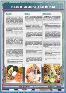 Стенд "Белки. Жиры. Углеводы" - fgospostavki.ru - Ярославль