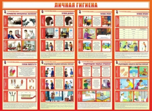 Стенд "Личная гигиена" - fgospostavki.ru - Ярославль