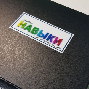 Навыки социальной адаптации. Развивающие пособие на липучках  - fgospostavki.ru - Ярославль