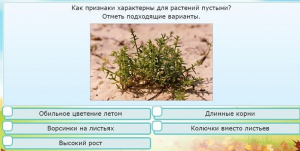 Интерактивные курсы. Окружающий мир 3 класс . Базовый. - fgospostavki.ru - Ярославль