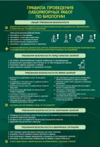 Стенд "Правила выполнения лабораторных работ по биологии" Вариант 1 - fgospostavki.ru - Ярославль