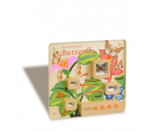 Панель «Жизненный цикл бабочки» - fgospostavki.ru - Ярославль