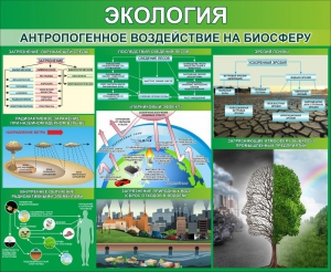 Стенд "Экология. Антропогенное воздействие на биосферу" - fgospostavki.ru - Ярославль
