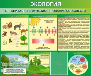 Стенд "Экология. Организация и функционирование сообществ" - fgospostavki.ru - Ярославль