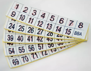 Фишки для игры «Бинго» со шрифтом Брайля - fgospostavki.ru - Ярославль