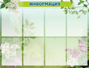 Стенд "Информация" Вариант 13 - fgospostavki.ru - Ярославль