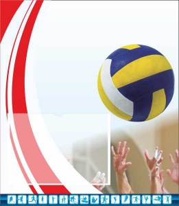 Стенд "Спортивный (волейбол)" - fgospostavki.ru - Ярославль