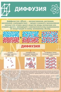 Стенд "Диффузия" - fgospostavki.ru - Ярославль