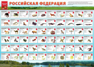 Стенд "Красная книга РФ" - fgospostavki.ru - Ярославль