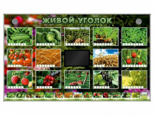 Комплект оборудования "Живой уголок" (растения) - fgospostavki.ru - Ярославль