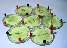 Демонстрационный комплект «Силовые линии электрического поля разных систем зарядов» - fgospostavki.ru - Ярославль