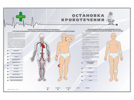 Электрифицированный стенд "Остановка кровотечения" - fgospostavki.ru - Ярославль