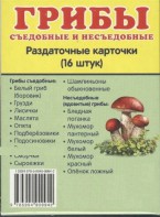 Раздаточные карточки "Грибы съедобные и не съедобные" - fgospostavki.ru - Ярославль