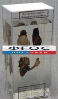 Влажный препарат "Внутреннее строение брюхоногого моллюска" - fgospostavki.ru - Ярославль