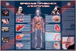 Электрифицированный стенд "Вредные привычки: алкоголизм" - fgospostavki.ru - Ярославль