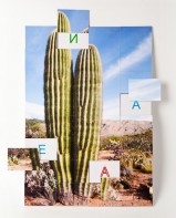 Магнитная орфография (безударные гласные, 1 класс) "Кактус" - fgospostavki.ru - Ярославль