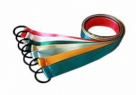 Лента гимнастическая на кольце (0,25 метра) - fgospostavki.ru - Ярославль