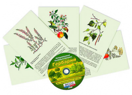 Интерактивный наглядный комплекс "Гербарий "Для начальной школы" - fgospostavki.ru - Ярославль