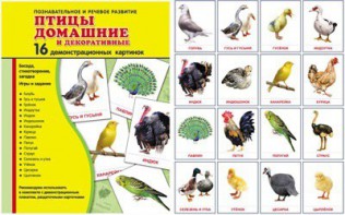Демонстрационные карточки "Птицы домашние и декоративные" - fgospostavki.ru - Ярославль