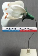 Модель "Цветок гороха" - fgospostavki.ru - Ярославль