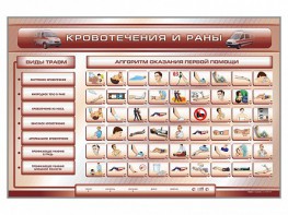 Трехсекционный базовый комплект "Травмы. Кровотечения. Ожоги" для учащихся общеобразовательных учреждений - fgospostavki.ru - Ярославль