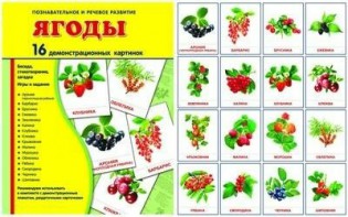 Демонстрационные карточки "Ягоды" - fgospostavki.ru - Ярославль