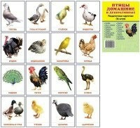 Раздаточные карточки "Птицы домашние и декоративные" - fgospostavki.ru - Ярославль