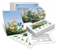 Комбинированное наглядное пособие «Растения» - fgospostavki.ru - Ярославль