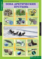 Комплект таблиц. Окружающий мир 4 класс. - fgospostavki.ru - Ярославль