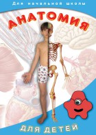 DVD "Анатомия для детей" - fgospostavki.ru - Ярославль