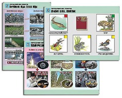 Комплект таблиц "Окружающий мир. Экология" (6 таблиц, А1, ламинированные) - fgospostavki.ru - Ярославль