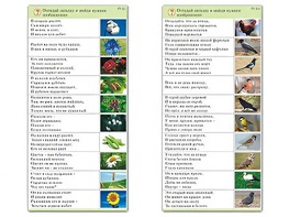 Комплект карточек (10) "Обучающий калейдоскоп. Природа" - fgospostavki.ru - Ярославль