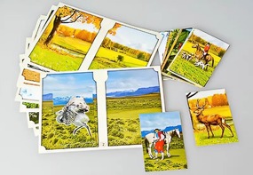 Настольно-печатная игра "Вокруг света" - fgospostavki.ru - Ярославль