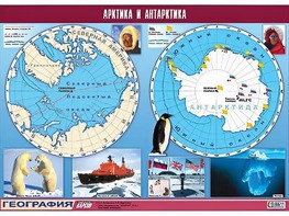 Таблица демонстрационная "Арктика и Антарктика" (винил 100*140) - fgospostavki.ru - Ярославль