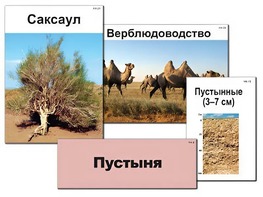 Модель-аппликация "Природные зоны России" (ламинированная) - fgospostavki.ru - Ярославль