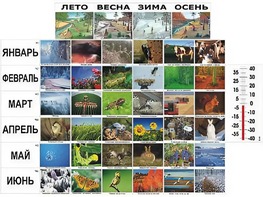 Фенологические наблюдения - fgospostavki.ru - Ярославль