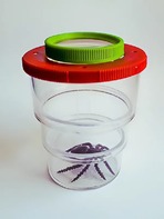 Коробка для изучения насекомых (с лупой) - fgospostavki.ru - Ярославль