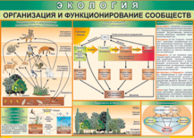 Таблица "Организация и функционирование сообществ" (100х140 сантиметров, винил) - fgospostavki.ru - Ярославль