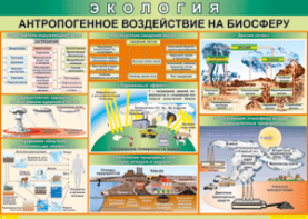 Таблица "Антропогенное воздействие на биосферу" (100х140 сантиметров, винил) - fgospostavki.ru - Ярославль