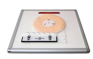 Комплекс "Изучение зубьев" - fgospostavki.ru - Ярославль