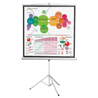 Экран на штативе DSKD-1104 - fgospostavki.ru - Ярославль