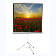 Экран на штативе DSKD-1105  - fgospostavki.ru - Ярославль