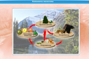 Интерактивные курсы. Биология 7 класс. Базовый. - fgospostavki.ru - Ярославль