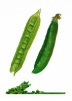 Комплект карточек "Запоминай, играй, считай" - Овощи - fgospostavki.ru - Ярославль