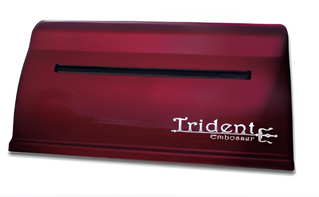 Принтер для печати рельефно-точечным шрифтом Брайля Trident - fgospostavki.ru - Ярославль