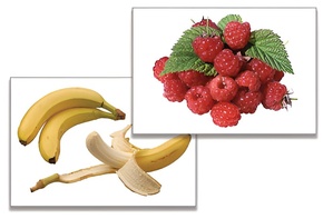 Дидактическое пособие "Фрукты, ягоды, орехи" (24 карточки) - fgospostavki.ru - Ярославль