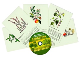 Интерактивный наглядный комплекс "Гербарий "Для начальной школы" - fgospostavki.ru - Ярославль